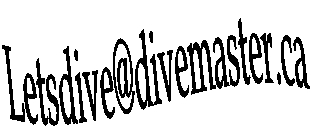 ** PLEASE DESCRIBE THIS IMAGE **